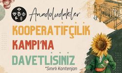 Kapadokya Üniversitesi'nden üreticilere özel kamp: Başvurular başladı