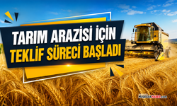 Alibey Yeri tarım arazisindeki arpa hasadı için teklifler alınacak