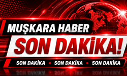 Korkunç kaza! Tır şarampole devrildi, şoför yanarak öldü