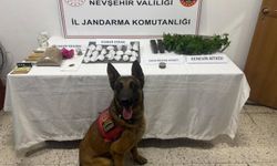 Jandarmadan zehir tacirlerine darbe! 4 şüpheli gözaltında