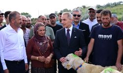 Nevşehir’de 100 baş damızlık koç üreticilere teslim edildi