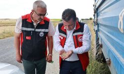 Nevşehir’de arpa hasadı başladı: Yüksek rekolte beklentisi