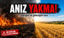 Nevşehir’de anız alarmı: Tarlada başlayan ateş felakete dönüşebilir