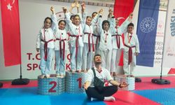 Nevşehir Belediyesi Taekwondo takımı fırtına gibi esti! Finallerine damga vuracak
