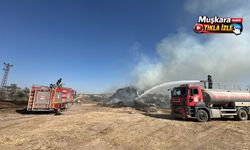 Nevşehir’de büyük yangın: Tonlarca saman kül oldu