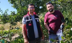 Nevşehir’de organik ürünlere sıkı takip: Numuneler alındı