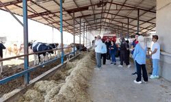 Sınıftan sahaya! Stajyerler mesleğin inceliklerini yerinde öğrendi