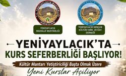 Hem üretim hem sertifika: Mantar yetiştiriciliği kursu geliyor
