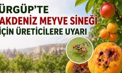 Ürgüp’te bahçelerde tehlike görüldü: Üreticilere acil kontrol çağrısı
