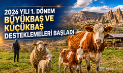 Nevşehir’de üreticilere hayvancılık desteği: Başvurular başladı