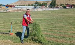 Nevşehir’de üretim desteği için ekipler sahaya indi