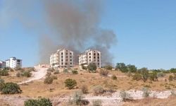Nar–Gülşehir yolu yakınında arazi yangını