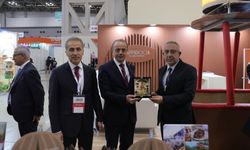 Gülşehir’in simgesi Mantarkaya, Japonya’da tanıtıldı