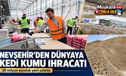 Kedi kumu fabrikası Türkiye'ye 50 milyon dolar döviz kazandırıyor