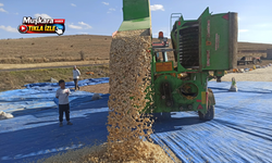 Nevşehir’de üretim patlaması! 160 bin dekardan 405 bin dekara
