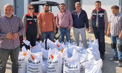 Nevşehir’de üreticilere yüzde 100 hibeli Macar fiği desteği
