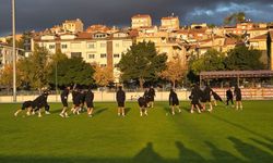 Nevşehir Spor sahaya indi: PGL öncesi çift antrenman mesaisi