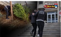Nevşehir’de narkotik operasyonu: Çok sayıda uyuşturucu ve silah ele geçirildi