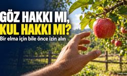 “Göz hakkı kanunen de dinen de caiz değil”