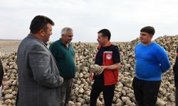 Nevşehir’de şeker pancarında 388 bin 729 tonluk üretim