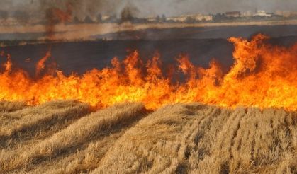 İl Tarım ve Orman Müdürlüğünden anız yangınları hakkında duyuru