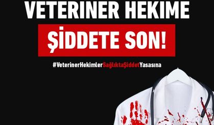 Hacıbektaş'ta veteriner hekime saldırı