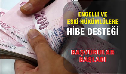 Engelli ve eski hükümlülere hibe desteği başvuruları başladı