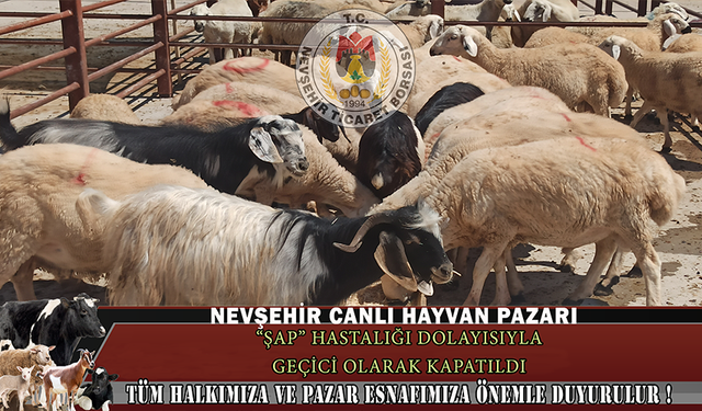Nevşehir Hayvan Pazarı bir kez daha kapatıldı