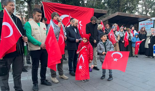 Türkiye'nin birliğine yapılan saldırılara İHH'dan tepki