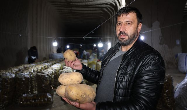 Türkiye'nin patates ihtiyacı Nevşehir’deki depolardan karşılanıyor