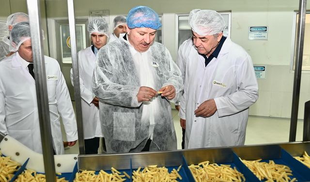 Vali Fidan patates fabrikası ve tohum AR-GE merkezini inceledi
