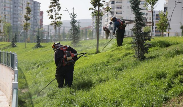 Nevşehir Belediye ekipleri arı gibi çalışıyor