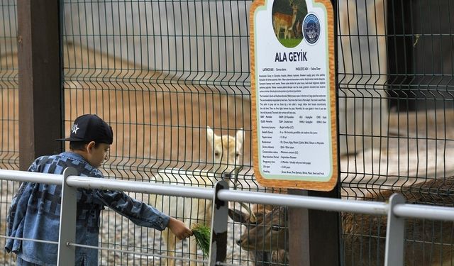 Hayvanat Bahçesi, Kurban Bayramı’nda ücretsiz