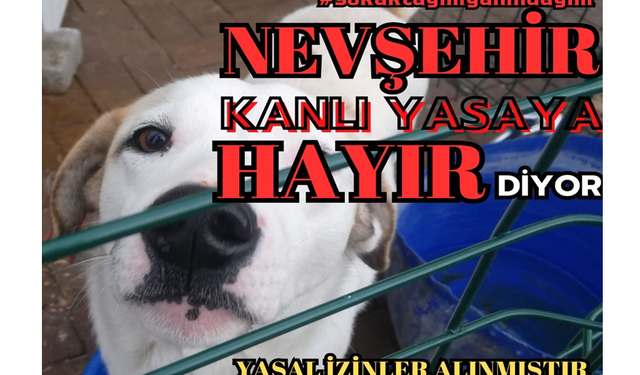 Nevşehir’de hayvanseverler eylem başlattı