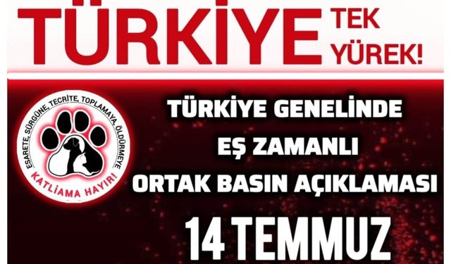 Anadolu Fed Temsilcisi Dörtkol: “Yasa geri çekilsin”
