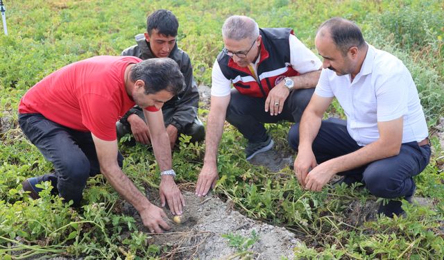 Nevşehir’in tarımsal üretimleri sahada değerlendirildi