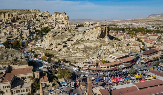 Domuz sürüleri mısır tarlalarına zarar verdi