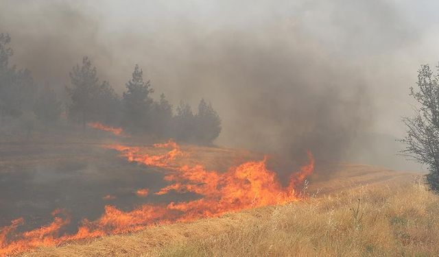 Arazi yangınlarının yüzde 90’ı insan kaynaklı çıkıyor