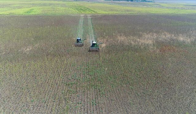 Bakanlık açıkladı: İki yıl üst üste ekilmeyen tarım arazileri kiraya verilecek