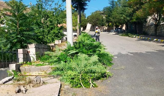 “Temiz bir kasaba güzel bir sabaha açılan kapıdır”