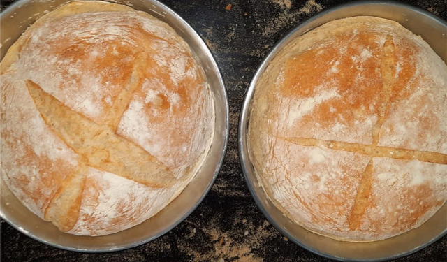 Ürgüp’te ilk ata tohumu ekmek üretildi