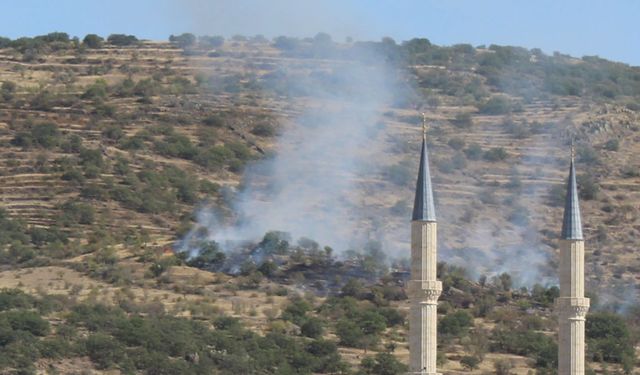 Ağaçlık alanda çıkan yangın korkuttu