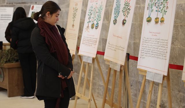 Meksika'nın tıbbi bitkileri Meryem Ana Kilisesi'nde tanıtıldı