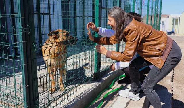 Özel insanlar hayvan kasabasını ziyaret etti