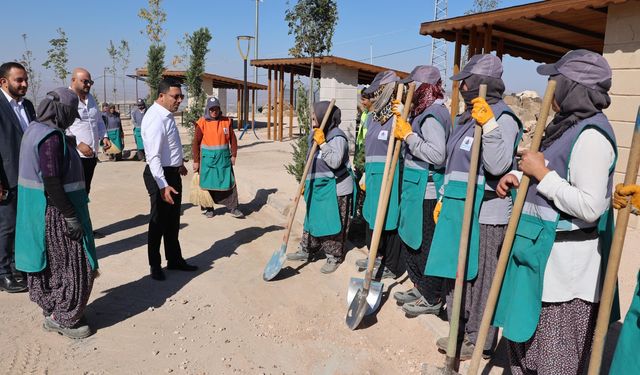 Başkan Arı sahada incelemelerde bulundu