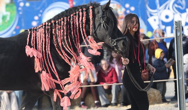 Ürgüp’te atlar podyuma çıktı