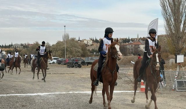 Festivalde atlar yarıştı