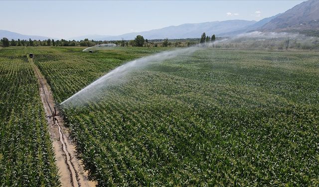 Tarımda su tasarrufu verimli sulamayla artacak