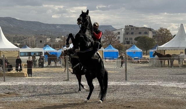 Ürgüp'te ilk defa düzenlenen "At Festivali" başladı