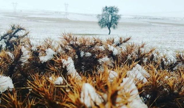 Karın toprağa ne gibi faydaları vardır?